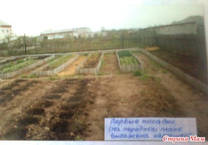 Istoria agriculturii într-o grădină de legume separată
