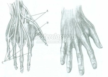 Imagine a mâinii în desen