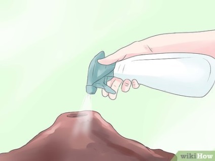 Cum să se ocupe de furnici în curte
