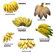 Ce banane sunt în Brazilia, ce fel de banană este populară în Brazilia