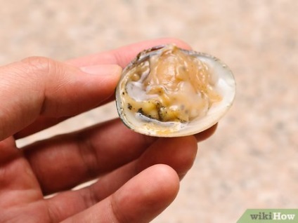 Cum să curăț crustacee de pe coajă