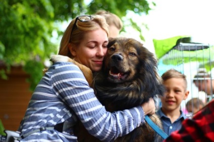 Cum să ajuți animalele fără adăpost în Ulyanovsk