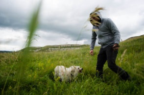 Cum să ajuți animalele fără adăpost în Ulyanovsk