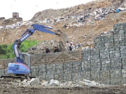 Cum de a recultiva poligonul tbo