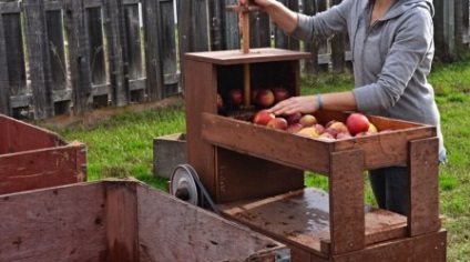 Cum de a face vin de casă de mere, dând de mâinile proprii