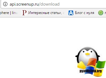 Cum se elimină virusul de screening în Windows, configurarea serverelor Windows și linux