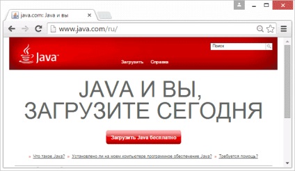 Cum se activează java în Google Chrome, configurarea serverelor Windows și linux