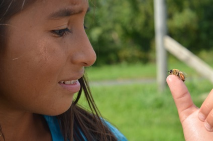 Cum să protejeze un copil de mușcături de insecte