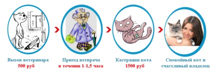 Castrarea unei pisici la domiciliu pentru 2500 de ruble