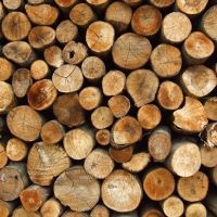 Cum arată lemnul de foc?