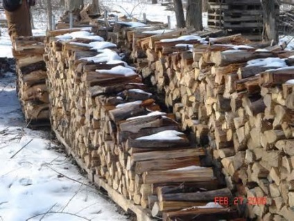 Cum ar părea să tăiem lemn de foc, să-l tăiem sau să-l strângem într-un lemn