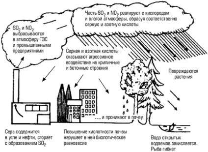 Acid rain - gânduri despre tot