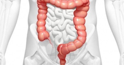 Tratamentul coloproctologic al hemoroizilor