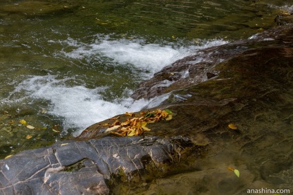 Prin valea râului vest dagomys baie naturală și zona de relaxare