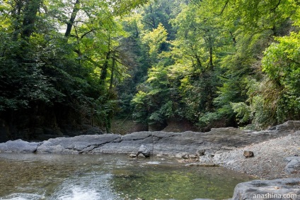 Prin valea râului vest dagomys baie naturală și zona de relaxare