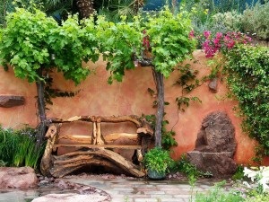 Grădină frumoasă, portal de grădină, știri de grădină, grădină