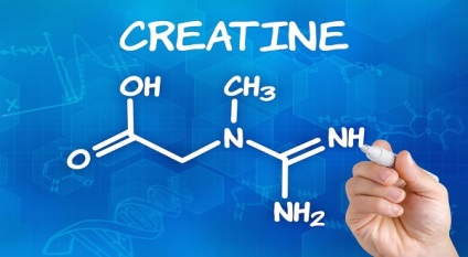 Creatina - ca supliment principal pentru creșterea rezistenței, fitinsite