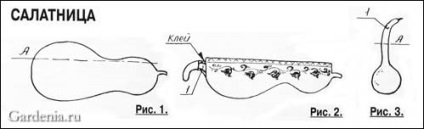 Lagenariya (dovleac de dovleac)