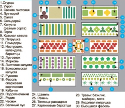 Design peisagistic al terenului cu grădină de bucătărie