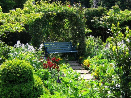Peisajul grădinii la cabană creează un colț confortabil (fotografie)