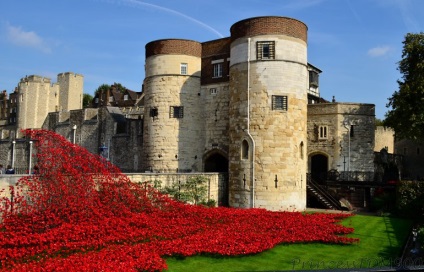 Tower of London fotó, videó, történelem, leírás