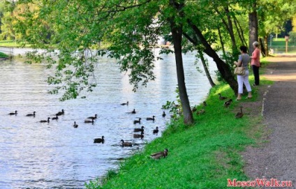 Lublin Park