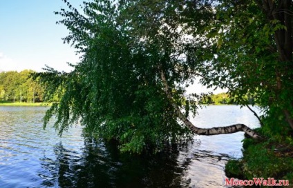 Lublin Park