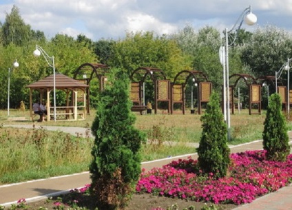 Lublin Park de cultură și de agrement, Lublin Park fotografie cum să obțineți