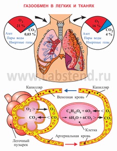 Makhneva irina - pagini - terapia yoga - tratamentul bolilor (patologii evidente și forme latente