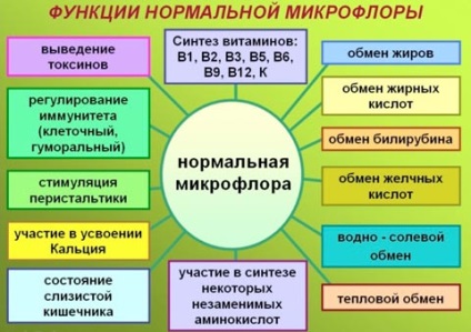 Microflora în responsabilitatea pentru sănătatea noastră