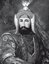 Murad iv (genul