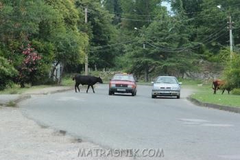 Cu mașina spre Abhazia