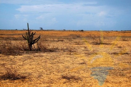 Pe platoul brazilian sunt cele mai interesante atracții naturale și