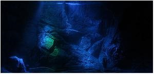 Night Aquarium Lighting