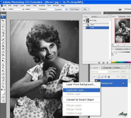 Prelucrați o fotografie pentru a crea o schemă de broderie - broderie și computer - tematică și creație