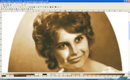 Prelucrați o fotografie pentru a crea o schemă de broderie - broderie și computer - tematică și creație