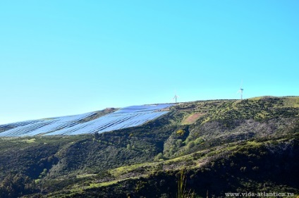 Despre Madeira - excursii ghidate în Madeira, ghid în Madeira