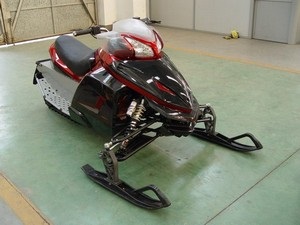 Descrierea gamei de snowmobile armada