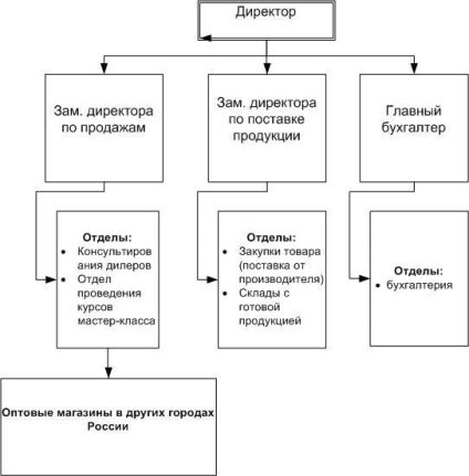 Structura organizatorică a 