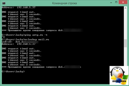 Eroarea cererii dns a expirat, corect pentru un minut, configura serverele Windows și linux