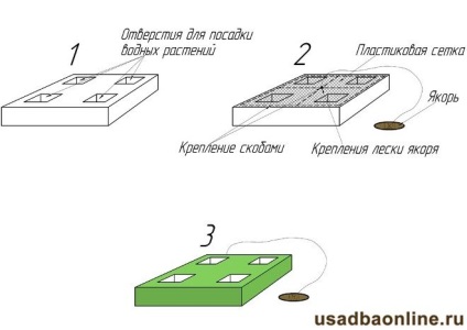 Floarea de flori plutitoare - un accent luminos al iazului, conacul