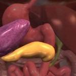 Simptomele pancreatice ale bolii, secretele medicinei populare