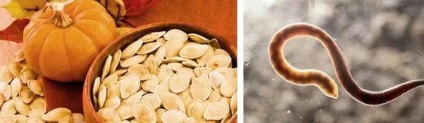 Beneficiile și răul de semințe de dovleac, proprietăți de vindecare și rețete