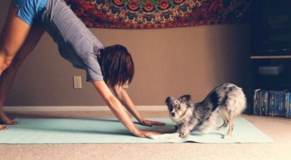 Beneficiile yoga, despre care nu știați