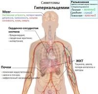 Preparate de calciu - alegere și aplicare, alternativă