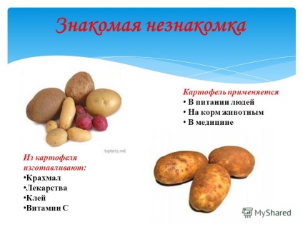 Prezentare pe tema ah, cartofi, cartofi! A terminat capela lui Ekaterina Alexandrovna, senior