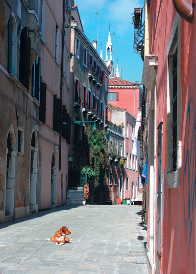 Friendly Veneția