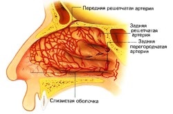 Az orr otthoni mosása