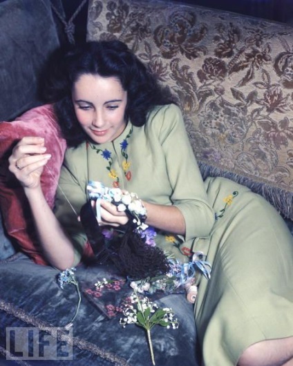 Fotografiile timpurii ale lui Elizabeth Taylor sunt interesante!