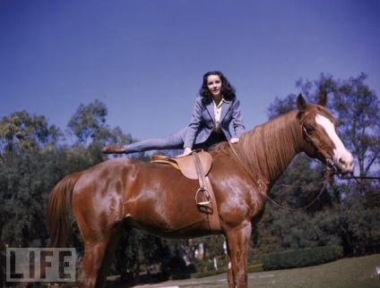 Elizabeth Taylor korai képei érdekesek!